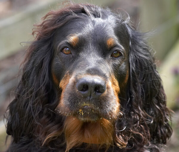 Butter wouldn't melt........... oh, it's peanut butter