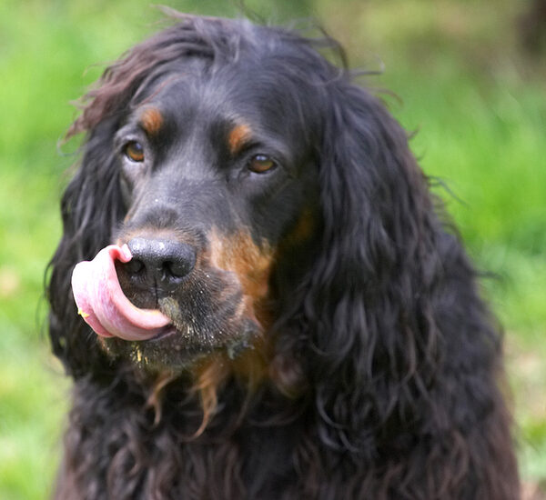 Did I get some on my nose?