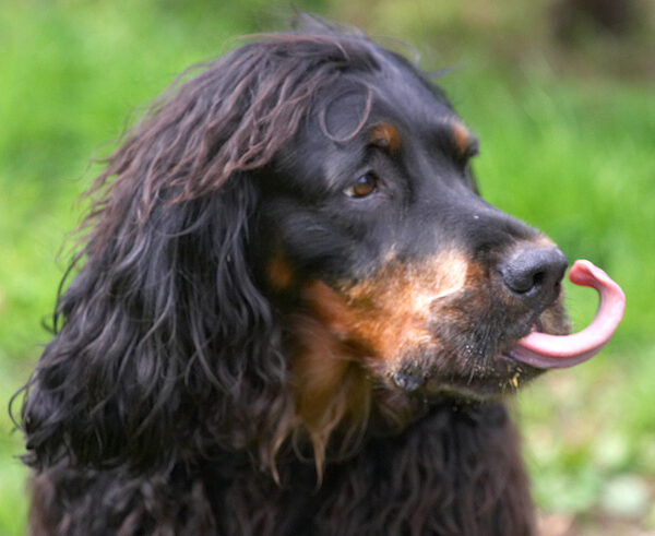 I didn't know I could do this with my tongue!