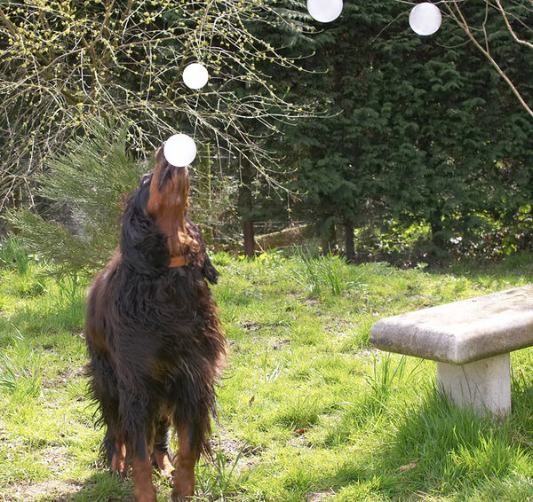 Look, I can balance this on my nose