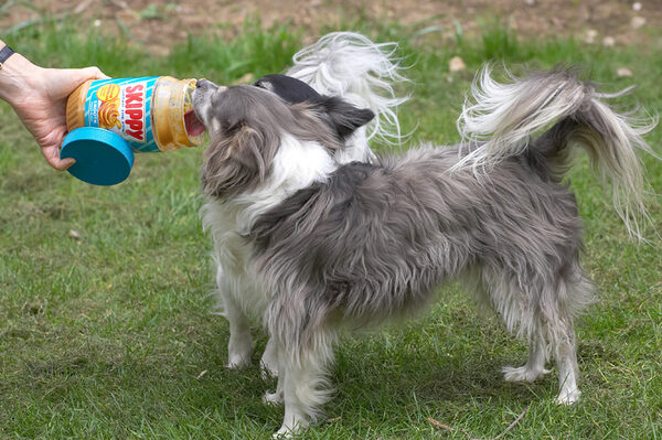 Matt and Rose and the Peanut Butter