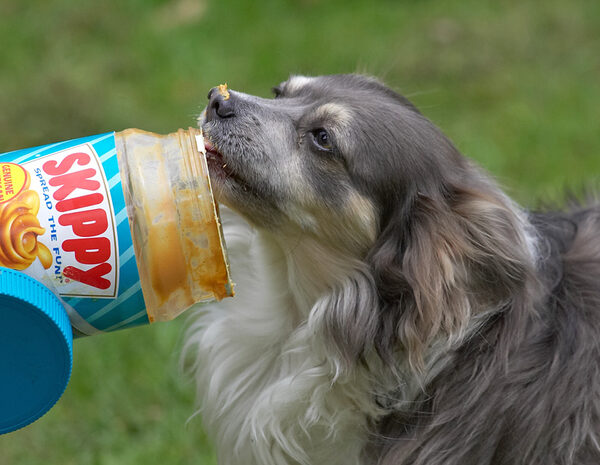Rose and the Peanut Butter