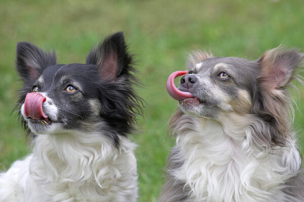 Matt and Rose Enjoying Some Peanut Butter