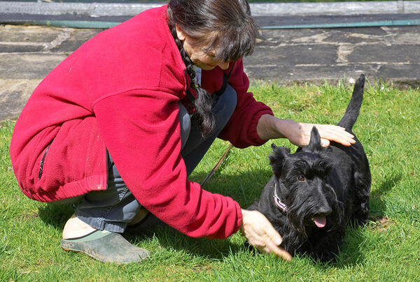 Some TLC for Flora
