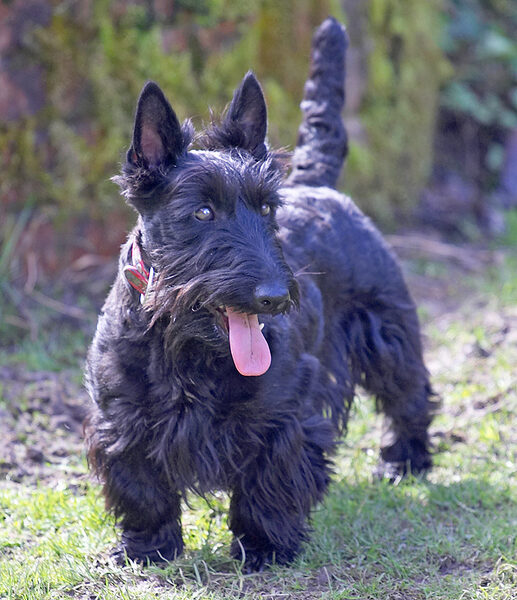 Hettie taking a breather