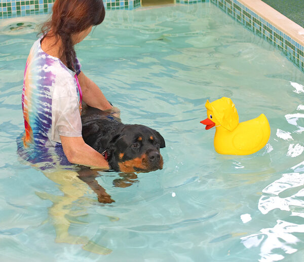 Missy, Marjorie, and a Big Rubber Duck