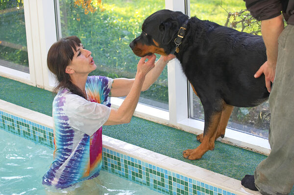 Marjorie Trying to Lure Ronan into the Swimming Pool