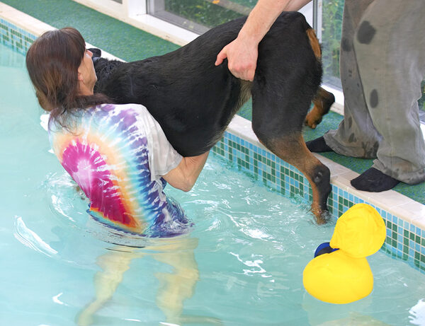 Marjorie and Christopher Lifting Ronan into the Swimming Pool