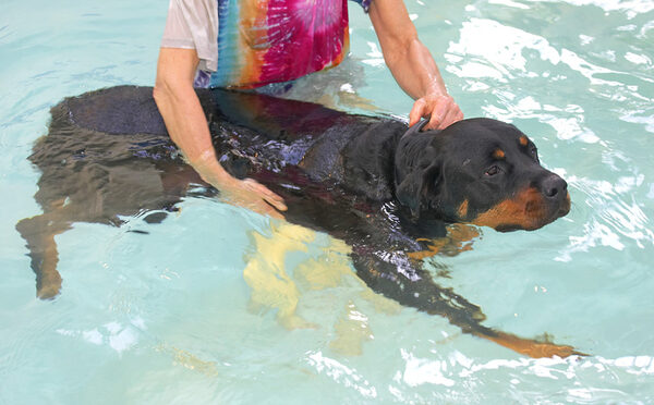 Ronan Swimming in the Pool