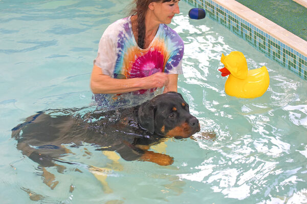 Ronan Having A Swim