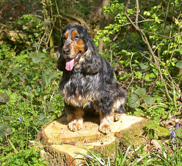Wally posing