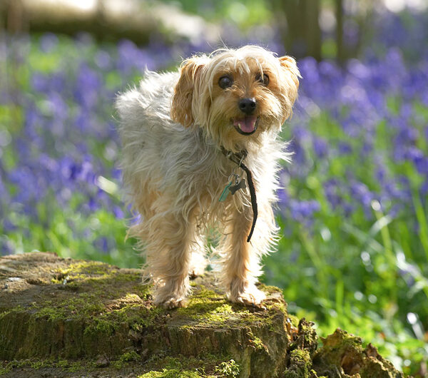 Posing!