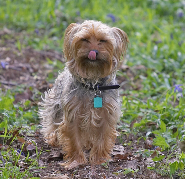 I'll just pose for this photograph