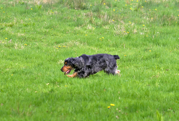 Wally on a mission