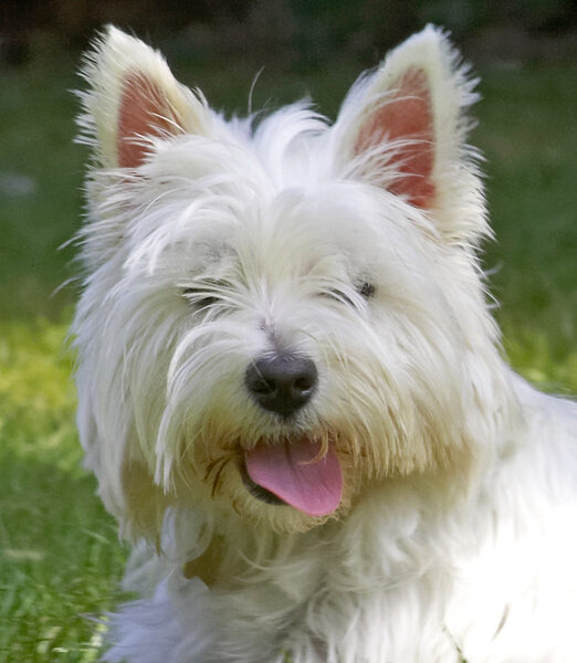 Who's a pretty girl then!