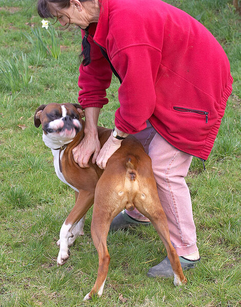 Marjorie and Dave the Dog