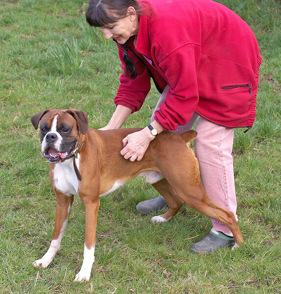 Marjorie and Dave the Dog