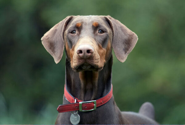 Jus' keeping my eye on things