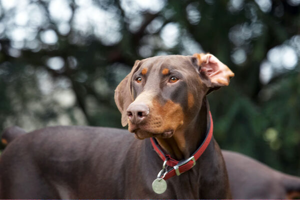 Jus' keeping my ear open