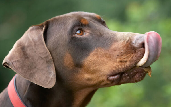 ........ success!!