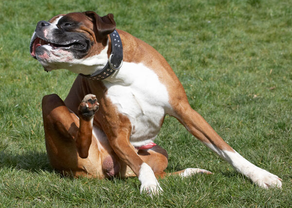 Hey, that was a good right hook