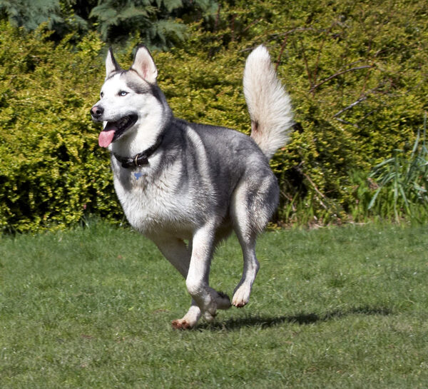 I'm on the run
