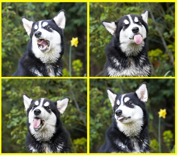 Me? - I'm enjoying myself!!
