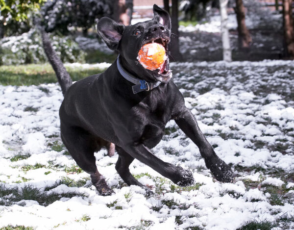 ........ catch!