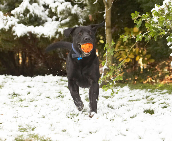 I'm full of the joys of ......... um ......... spring!!