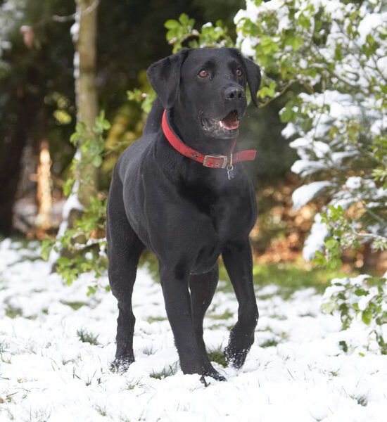 OK, throw, I gotta run to keep warm ..............