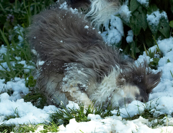 This is the way to cool down