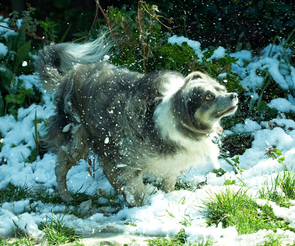 Shake, rattle and .............