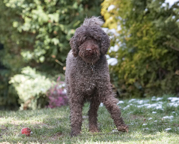 Nah, I don't want to play ball
