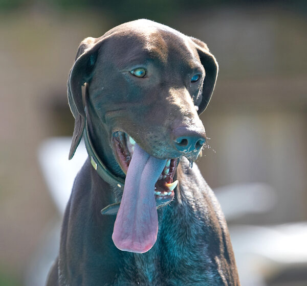 I think I'm gonna win the longest tongue competition