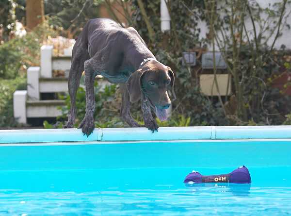 Now, how do I get this without getting my feet wet?