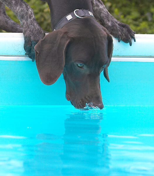 This is as close to swimming as I wanna get