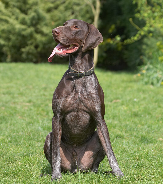 See, I can sit still