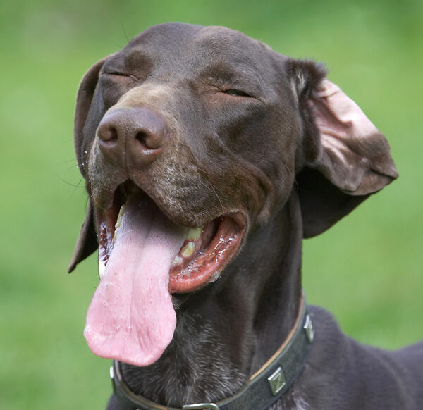 Just enjoying the air on my tongue