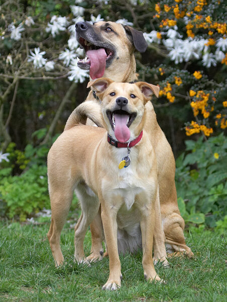 Yep, we're just a really cute pair