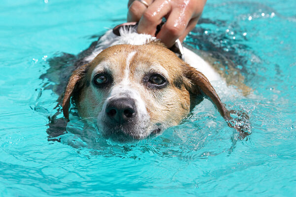 Yep, another swimming session