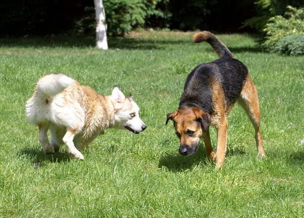 C'mon, let's play