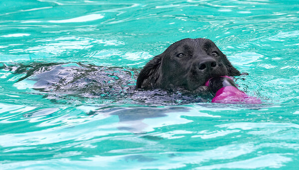 Just keeping my head above water