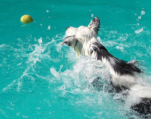 I might not have been sure of the swimming but I know how to play ball