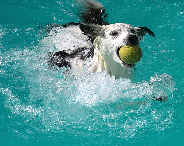 Wet or dry I'm ace at ball catching