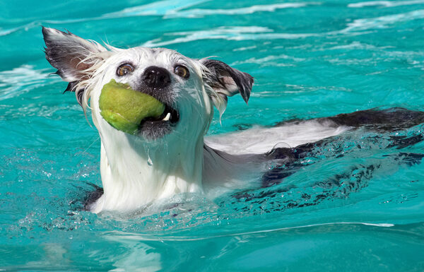 Hmmm, this ball is a bit squashed