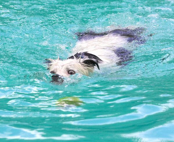 Darn it, the ball won't float any more