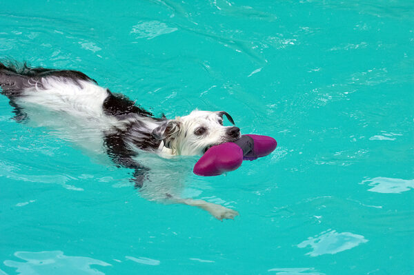 Guess, I'll just have to play with the water toys then