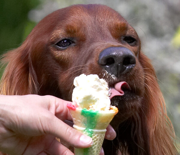If I lick slowly it will last a long time