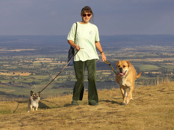 And we're still full of energy even after climbing that big hill