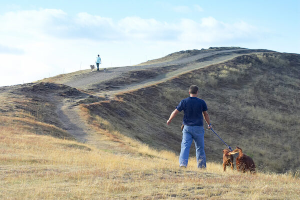 Hey, don't we know those people in the distance.  I'm too busy with a new smell